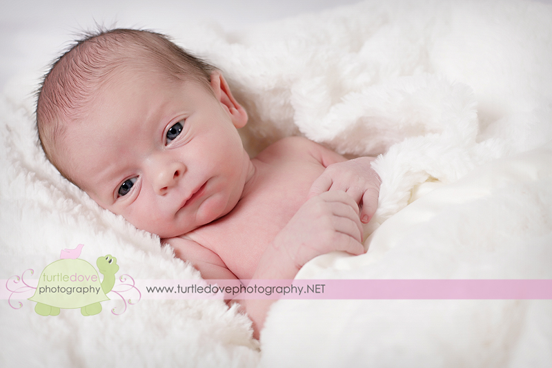 Sweet little guy